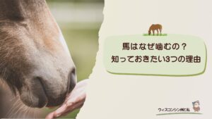 馬が噛む理由