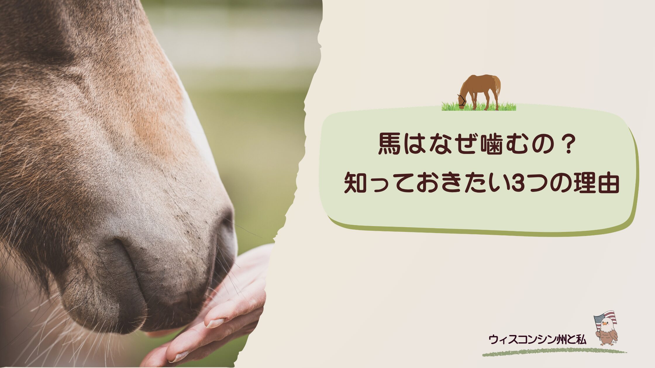 馬が噛む理由