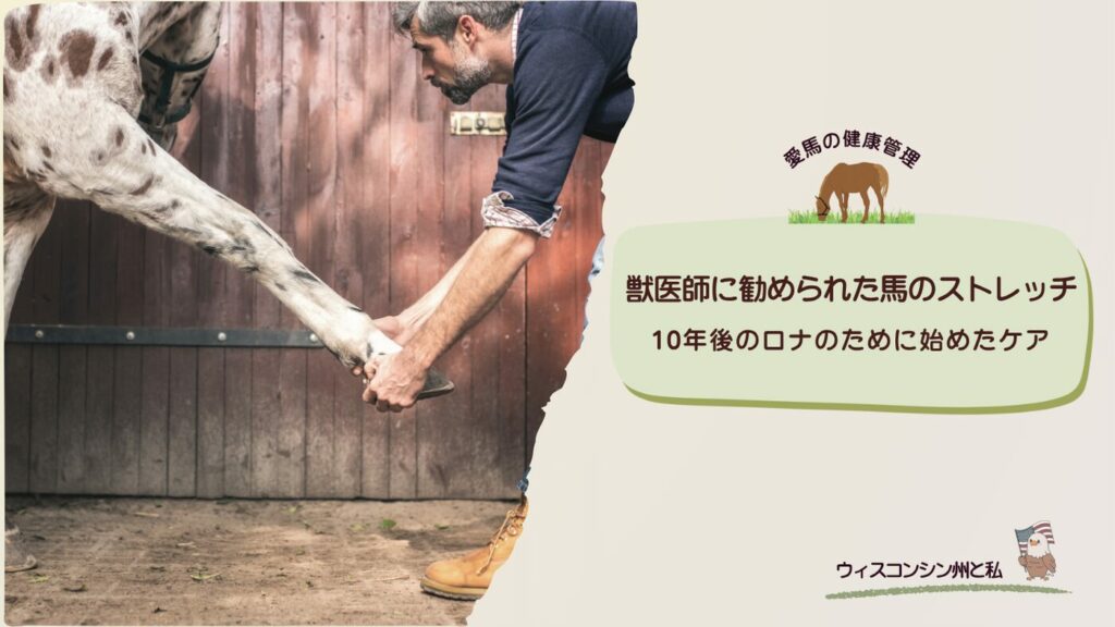 ロナのストレッチ用アイキャッチ