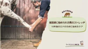 ロナのストレッチ用アイキャッチ