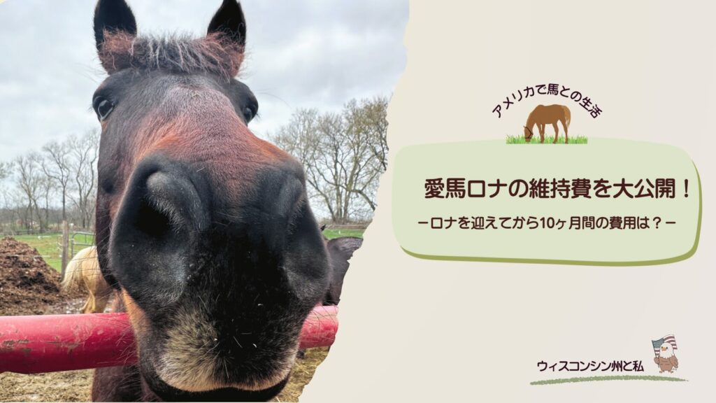 愛馬ロナの維持費公開