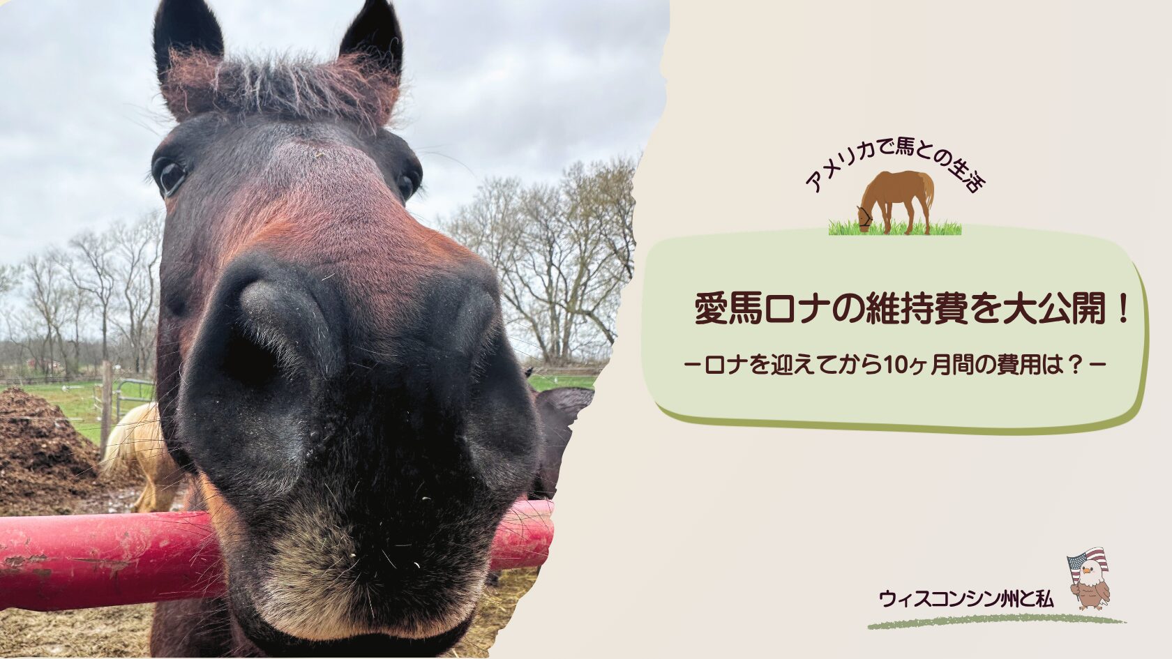 愛馬ロナの維持費公開