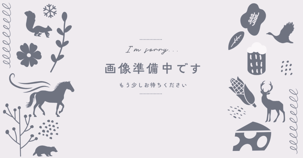 画像準備中
