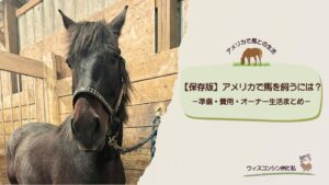 愛馬ロナ記事まとめのアイキャッチ