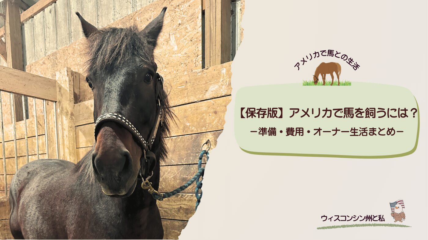 愛馬ロナ記事まとめのアイキャッチ