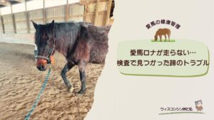 愛馬ロナに不調、跛行検査