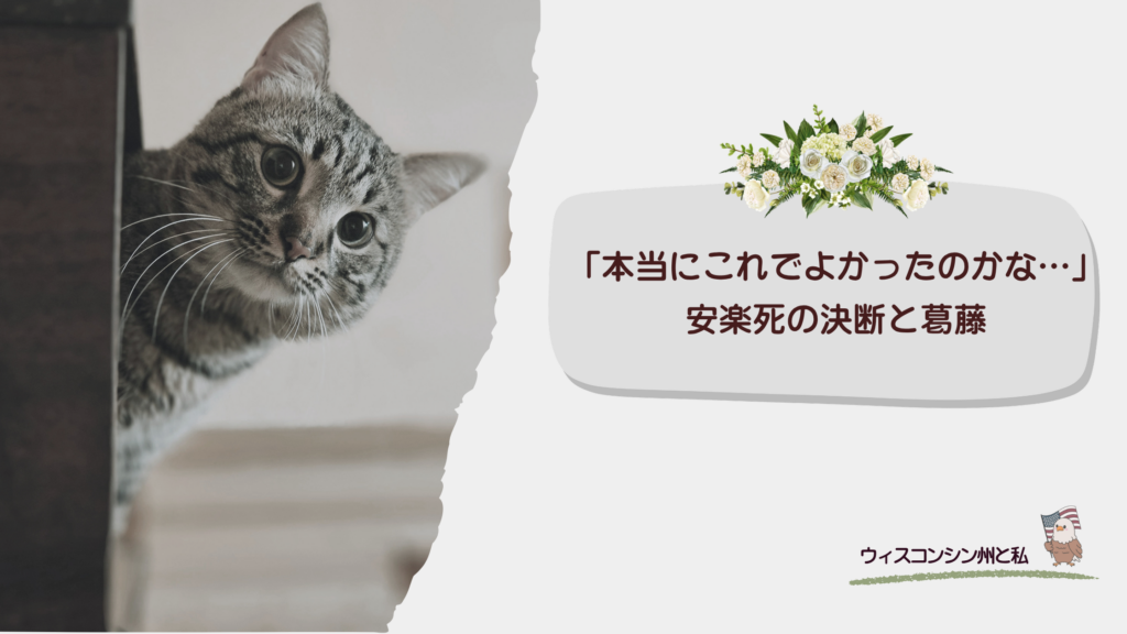 猫安楽死の葛藤