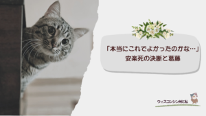 猫安楽死の葛藤