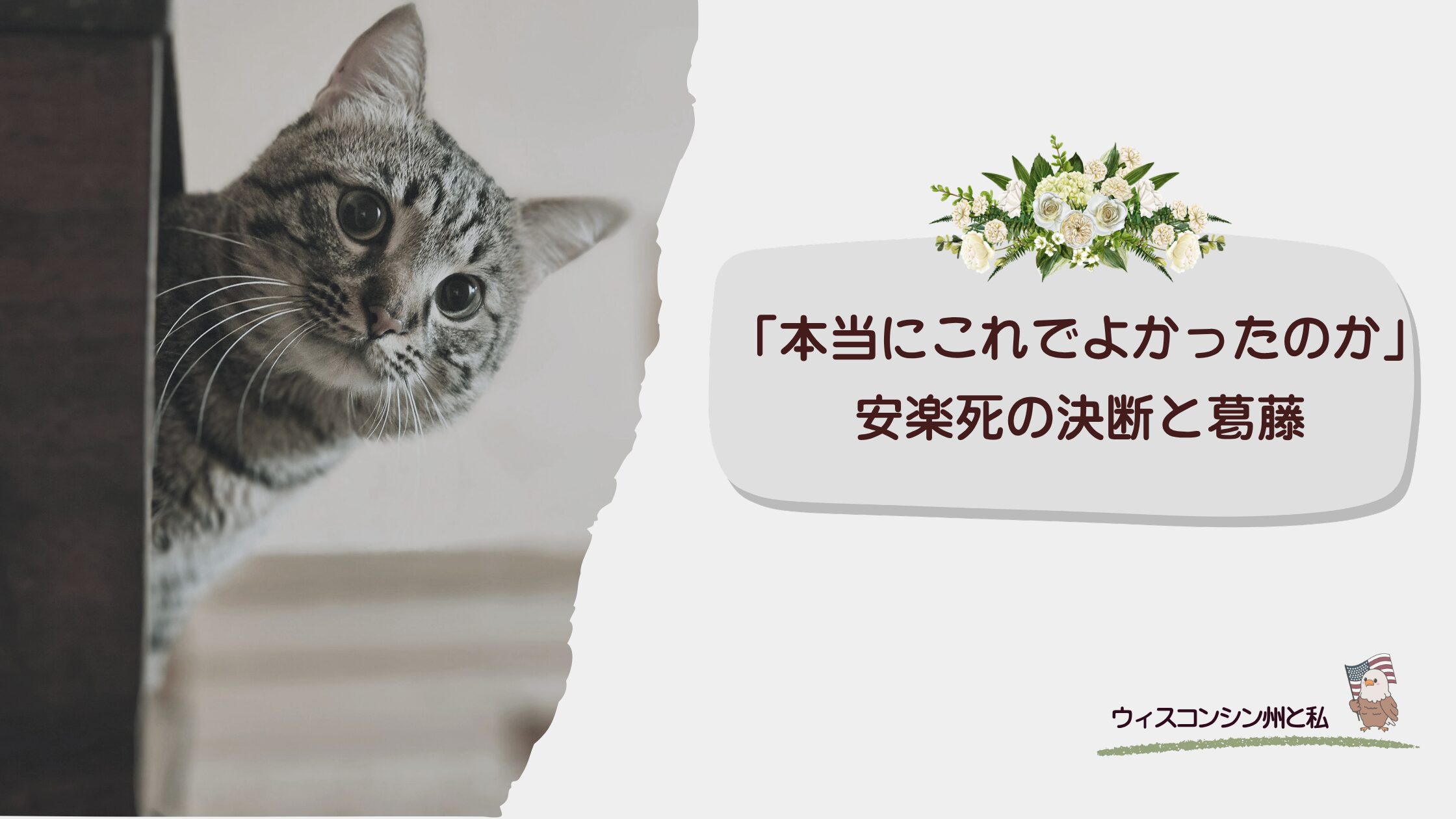 猫アイキャッチ